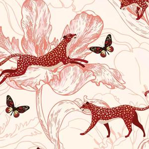 女人日逼的视频
