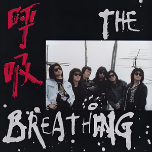 女人日逼的视频
