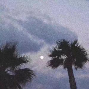 女人日逼的视频
