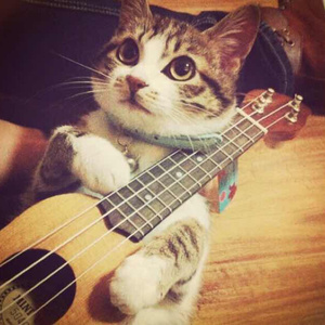 女人日逼的视频
